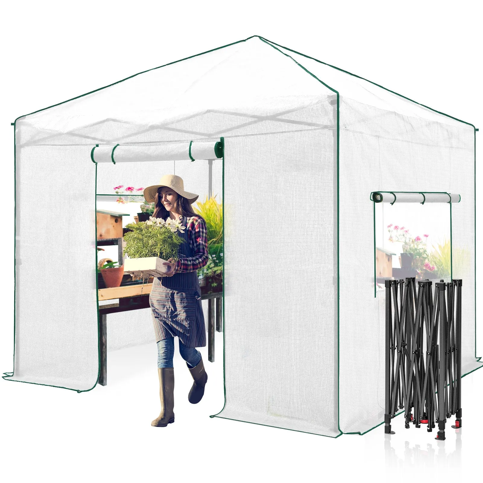 10x10 Walk In Pop Up Greenhouse