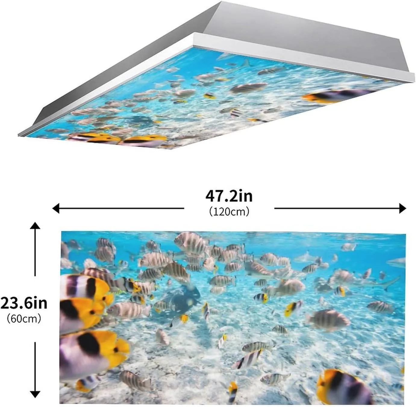 2Pcs Fluorescent Light Covers,Fishes Magnetic Light Cover, Ceiling Light Cover Classroom Light Filters Cubicle Light Shield for Classroom Office Home, 2 x 4 ft