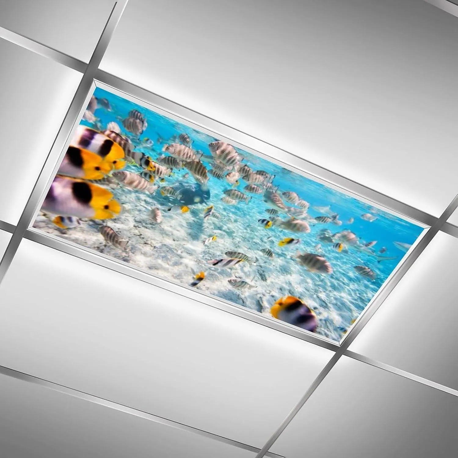 2Pcs Fluorescent Light Covers,Fishes Magnetic Light Cover, Ceiling Light Cover Classroom Light Filters Cubicle Light Shield for Classroom Office Home, 2 x 4 ft
