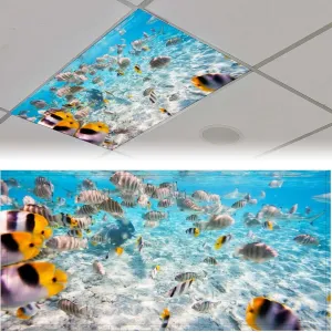 2Pcs Fluorescent Light Covers,Fishes Magnetic Light Cover, Ceiling Light Cover Classroom Light Filters Cubicle Light Shield for Classroom Office Home, 2 x 4 ft