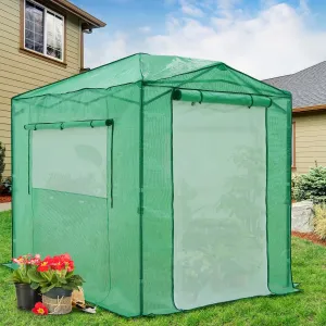 8x6 Walk-in Greenhouse with Upgraded Screen Mesh Door