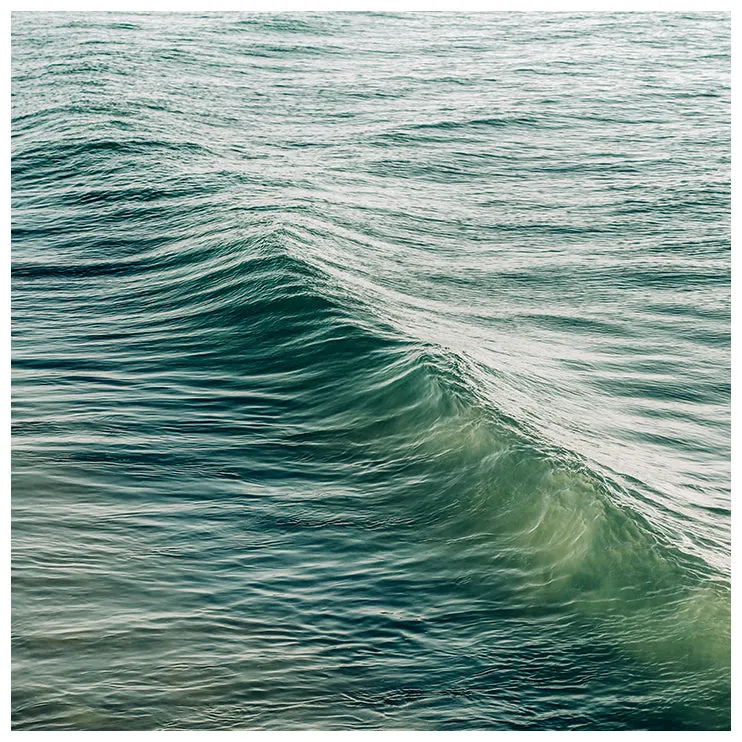 All I Need -  Fine Art Photograph