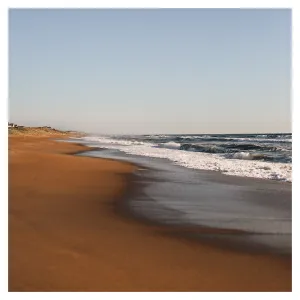 Carefree -  Fine Art Photograph