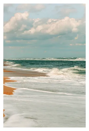 Carolina Summer - Fine Art Photograph