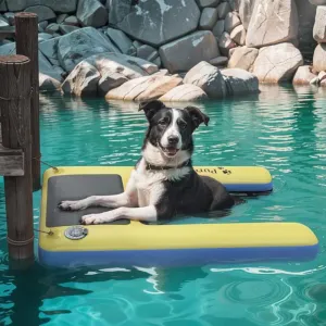Dog Pool Float Boat Ramp, Inflatable Swimming Entry/Exit for Pets