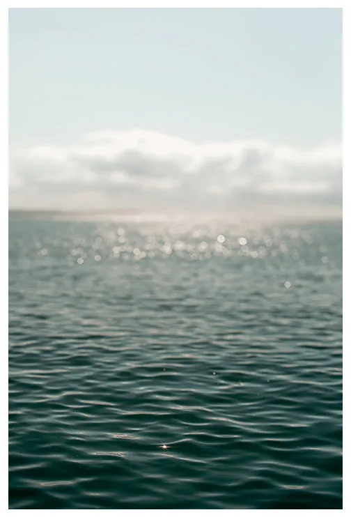 It Was All A Dream - Fine Art Photograph