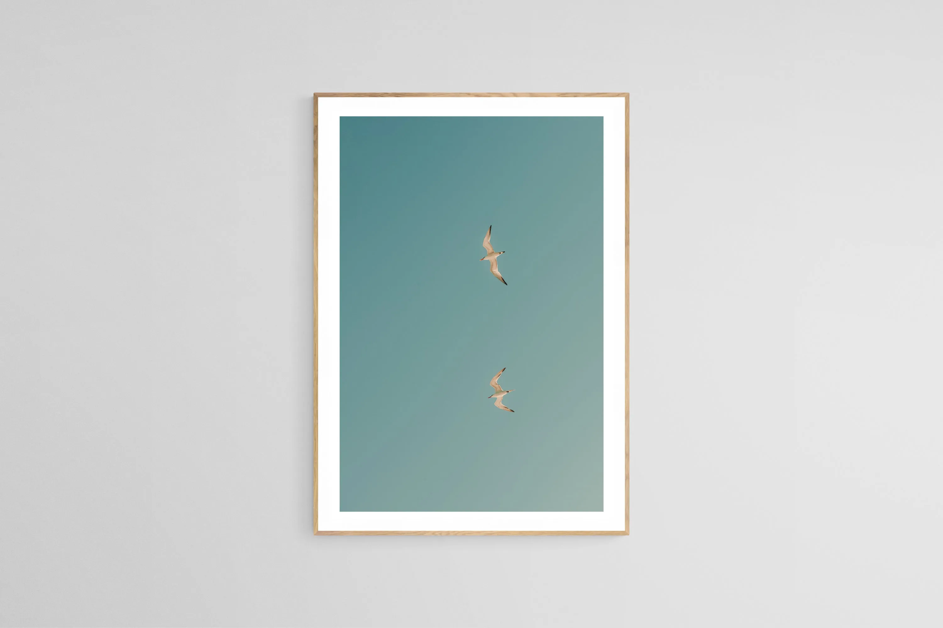 Modern Fine Art Photograph - Fly Away