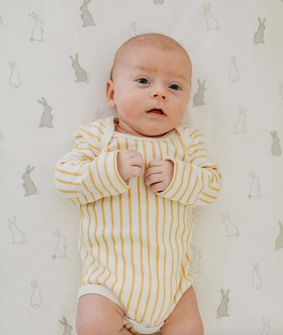 Organic Bunny Hop Crib Sheet by Pehr