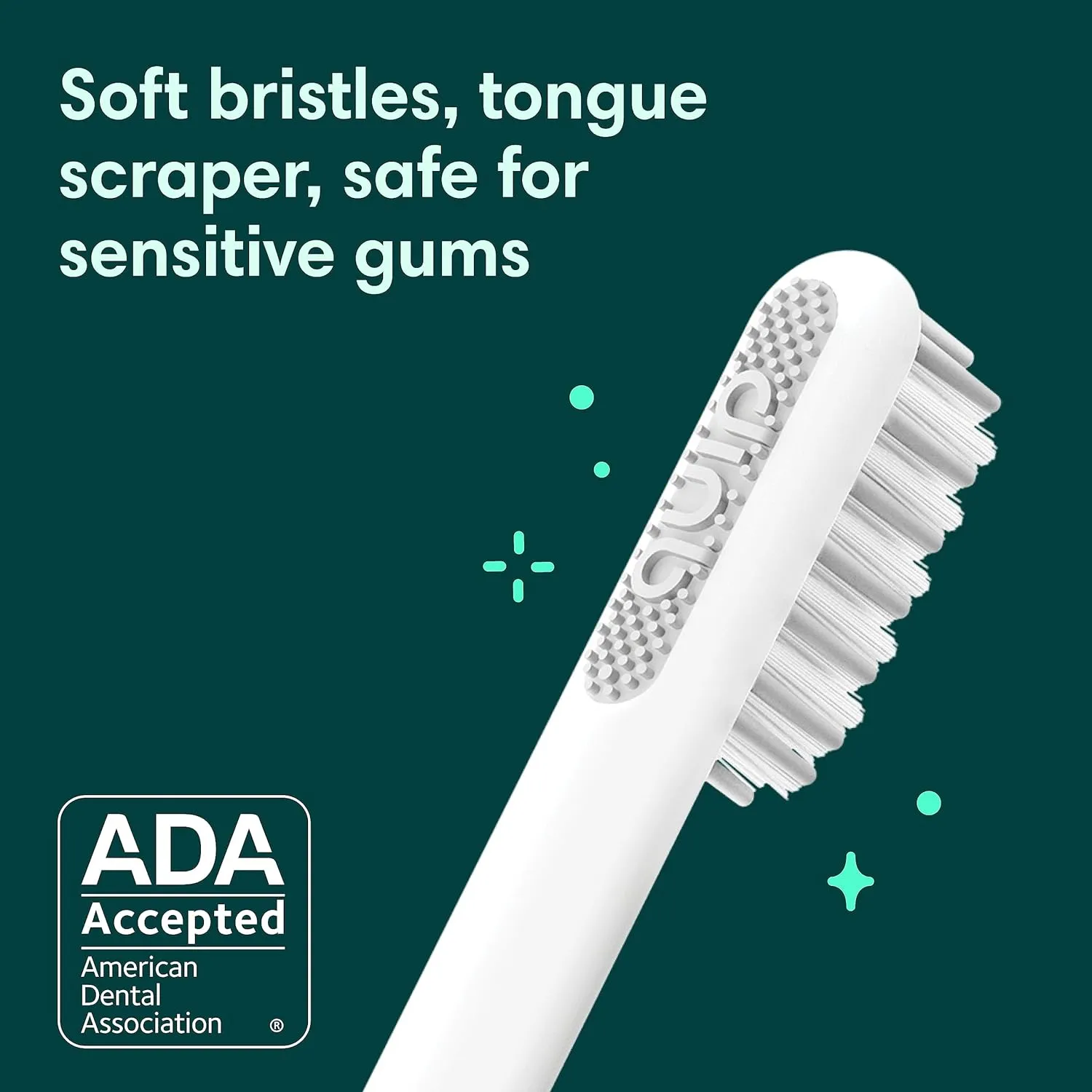 Quip Rechargeable Sonic Toothbrush for Adults - Timed Electric Toothbrush with Cover - Replaceable Brush Head, Soft Bristles, Plastic Handle - Travel Toothbrush - Midnight