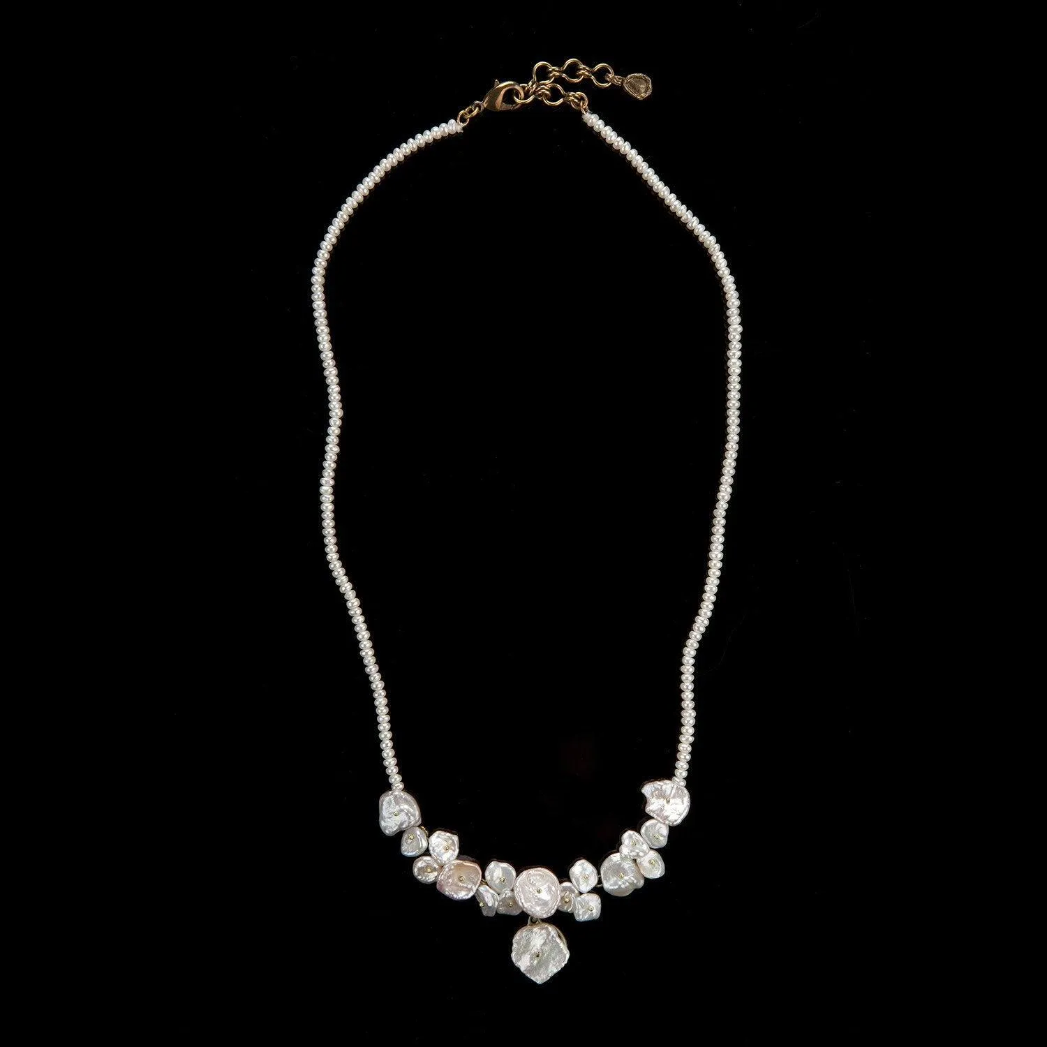 Silver Dollar Necklace - Petite Contour